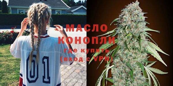 крисы Каменногорск