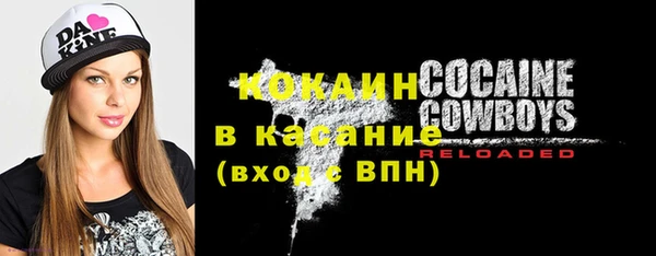 стафф Инта
