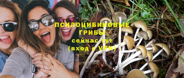 тгк Касимов