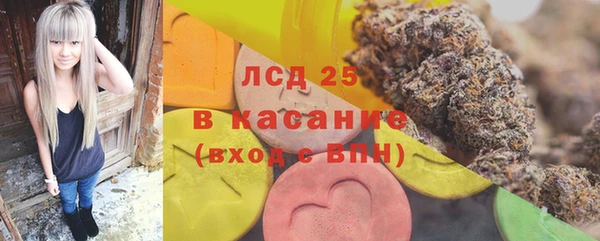 крисы Каменногорск