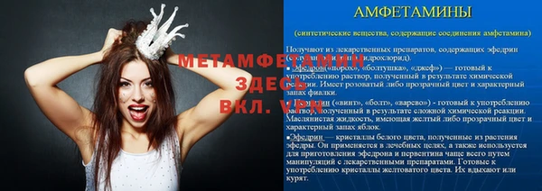 крисы Каменногорск