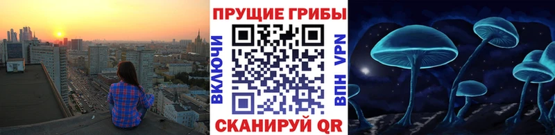 Галлюциногенные грибы прущие грибы  Козельск 